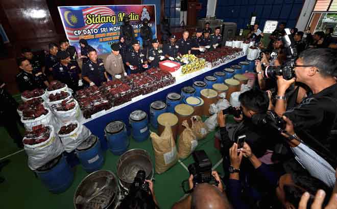 Kilang diluluskan kerajaan DAP Penang proses dadah RM72.5 juta dirampas