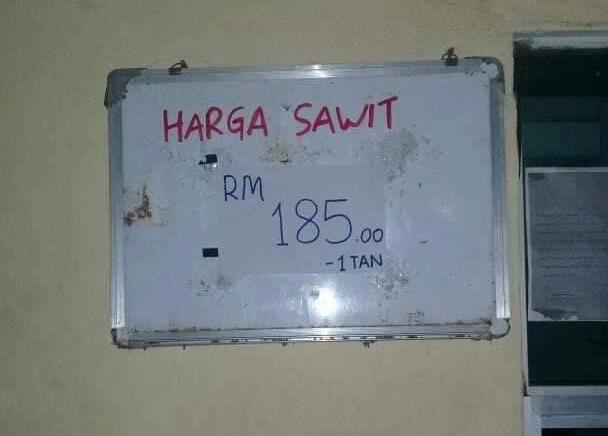 Harga Sawit jatuh sehingga RM185 setan menyusahkan rakyat 