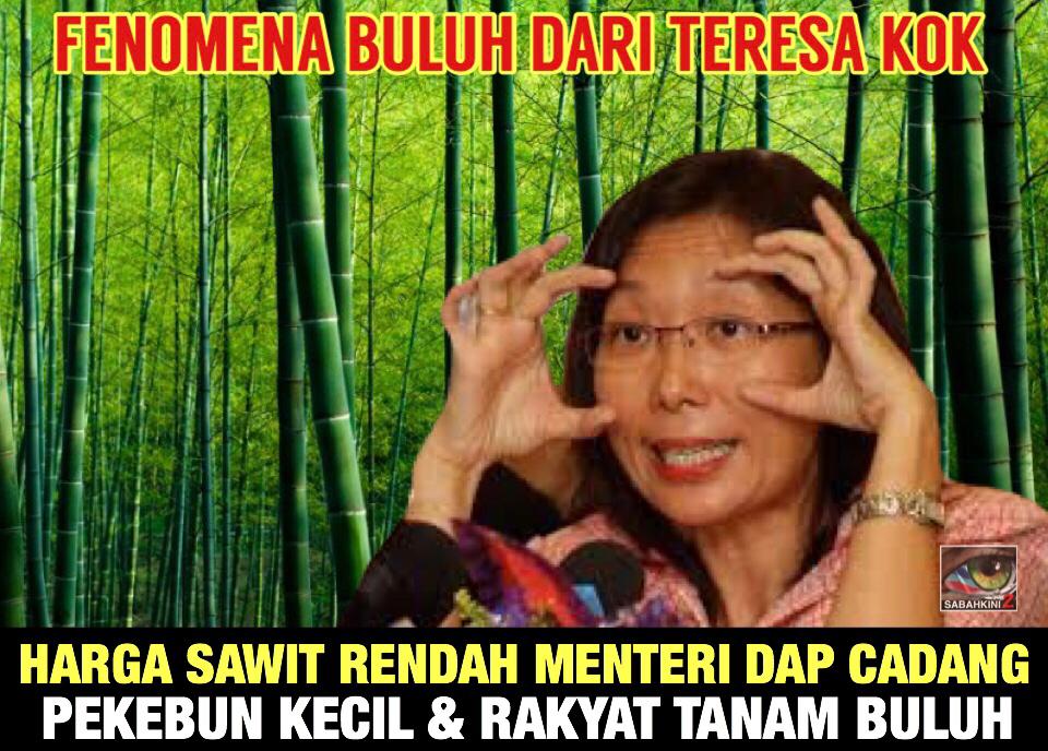 Gagal tangani harga sawit jatuh Teresa Menteri DAP cadang rakyat tukar tanam buluh
