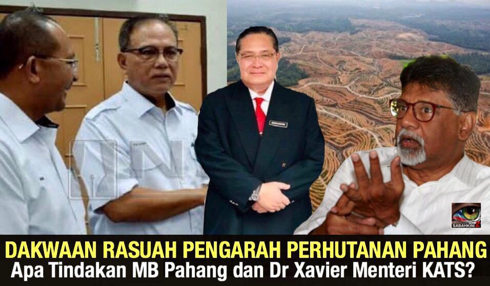 NGO lapor rasuah Pengarah Perhutanan Pahang, apa tindakan MB Pahang dan Menteri KATS?