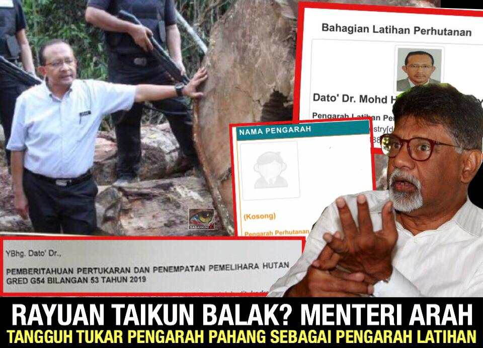 Rayuan Taikun Balak, Menteri arah tangguh tukar Pengarah Perhutanan Pahang sebagai Pengarah Latihan