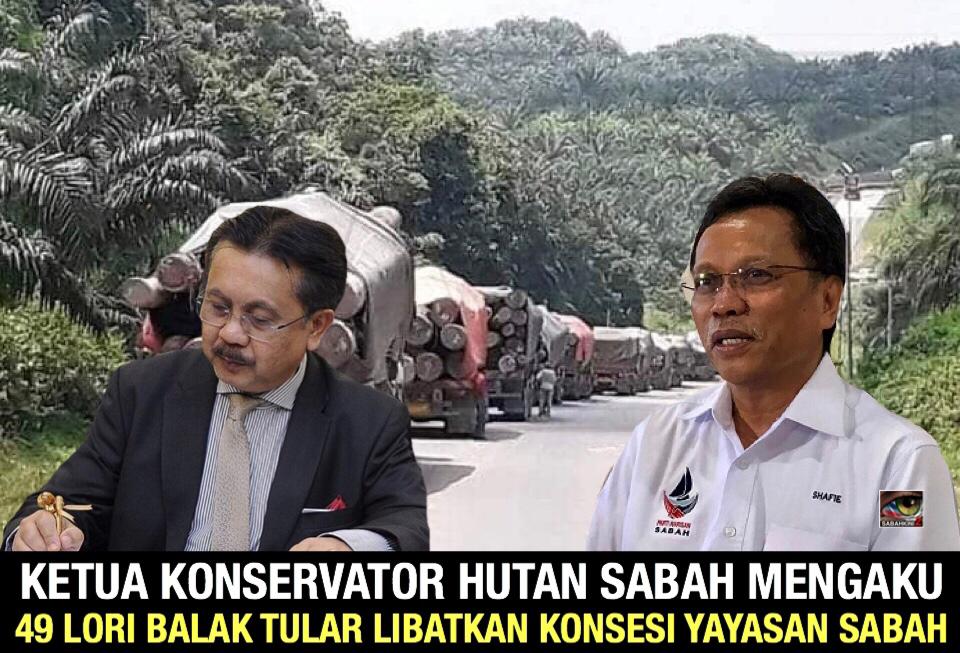 Ketua Konservator Hutan Sabah mengaku 49 lori balak tular libatkan konsesi Yayasan Sabah  