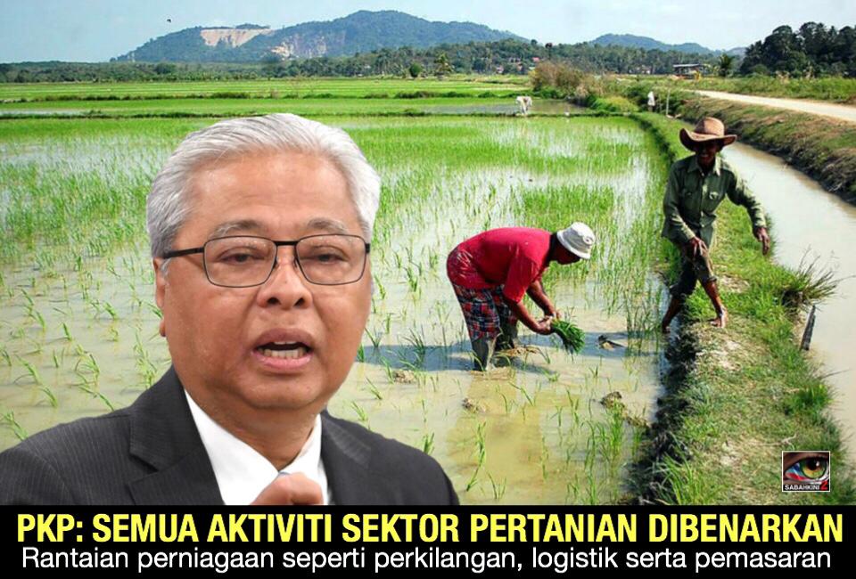 PKP: Aktiviti pertanian, perikanan dibenarkan beri kelegaan kepada petani, nelayan, pengusaha