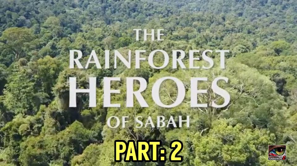 PART 2: THE RAINFOREST HEROES OF SABAH - WETLANDS