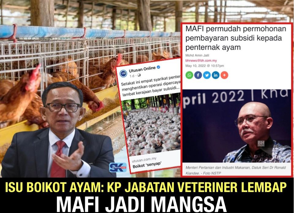 Isu Boikot Ayam:  KP Jabatan Veteriner lembap, MAFI jadi mangsa