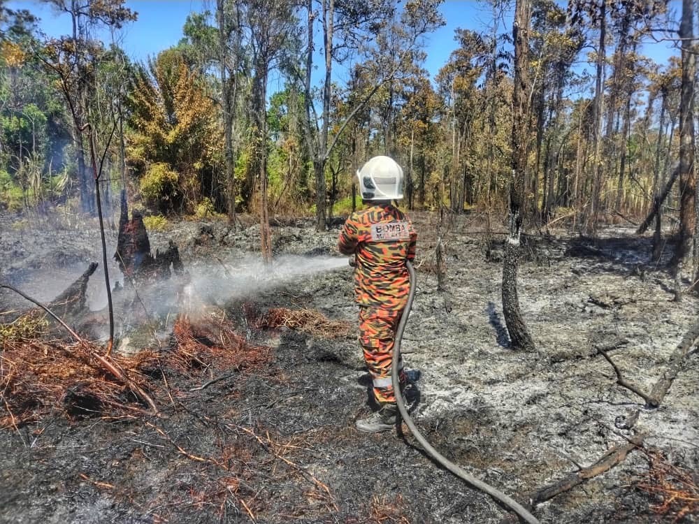 Sabah rekod 305 kes kebakaran hutan tahun ini